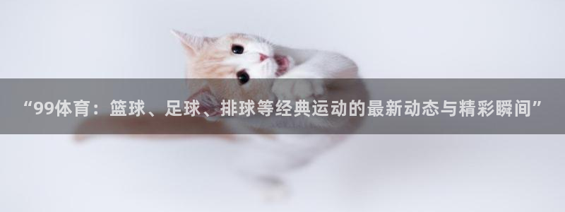 “99体育：篮球、足球、排球等经典运动的最新动态与精彩瞬间”