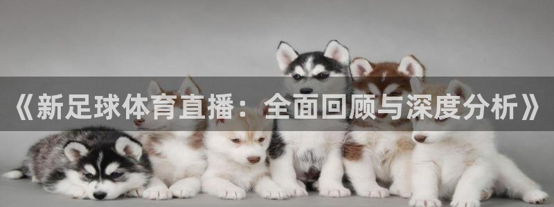 《新足球体育直播：全面回顾与深度分析》
