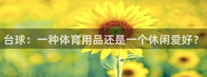 台球：一种体育用品还是一个休闲爱好？