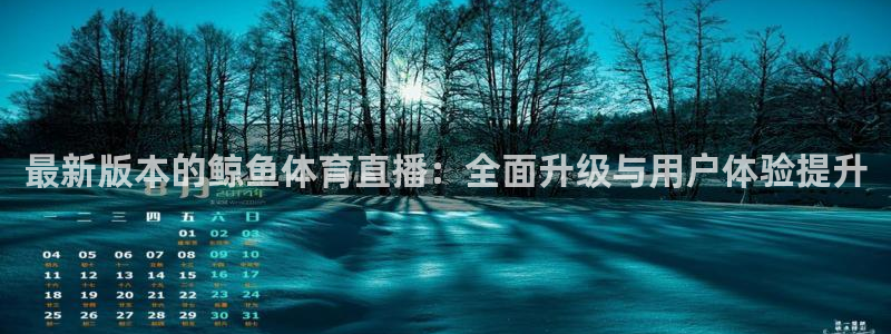最新版本的鲸鱼体育直播：全面升级与用户体验提升