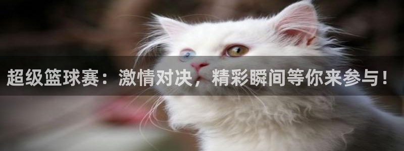 超级篮球赛：激情对决，精彩瞬间等你来参与！