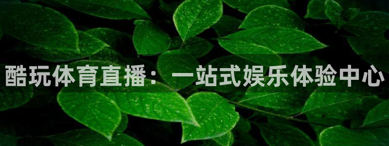 沐鸣2体育和杏耀是哪个公司的