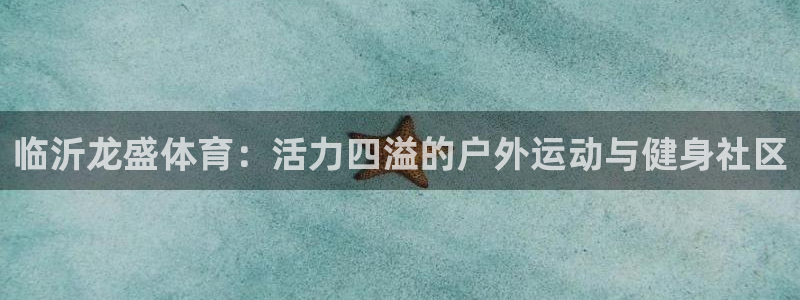 沐鸣2体育合法嘛：临沂龙盛体育：活力四溢的户外运动与健身社区