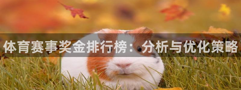 沐鸣23平台注册：体育赛事奖金排行榜：分析与优化策略
